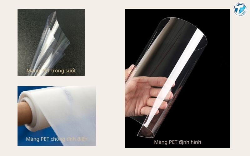 Các loại màng nhựa PET phổ biến